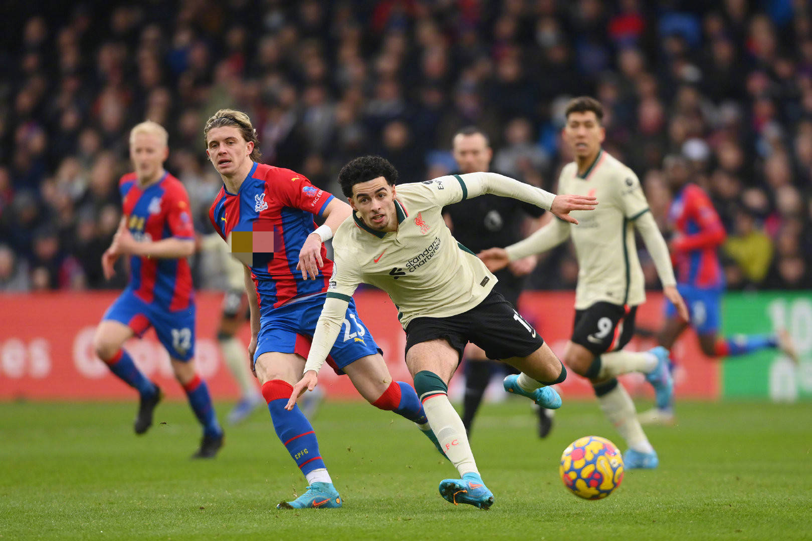 了他们的 了他们的